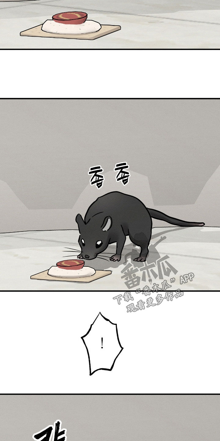 逃离地下室漫画,第34章：暴露5图