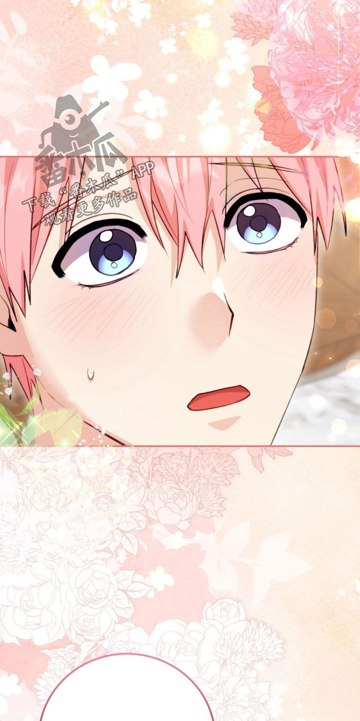 疯批大公的玩偶漫画,第81章：我喜欢你1图