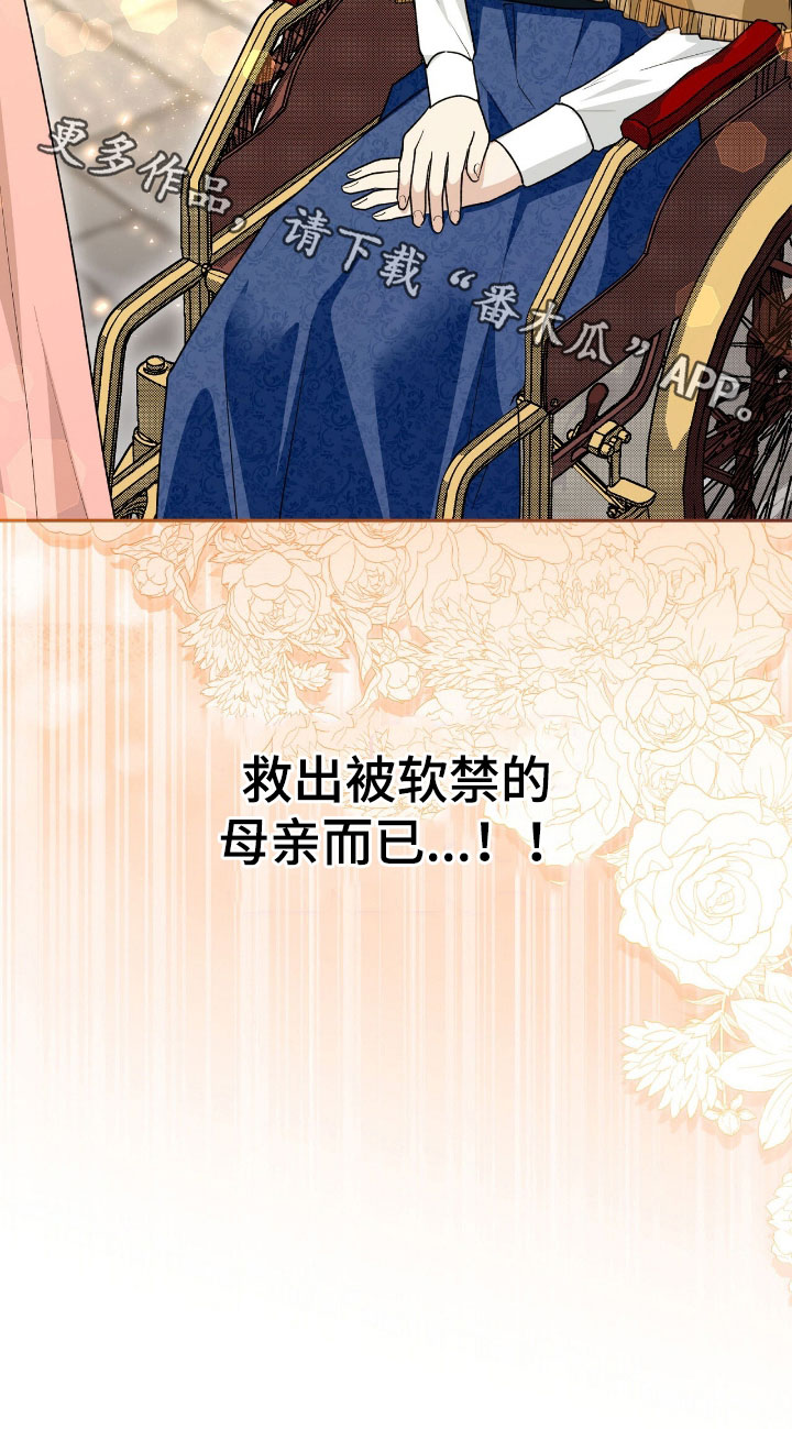 疯批大公的玩偶漫画在现看漫画,第79章：幕后黑手1图