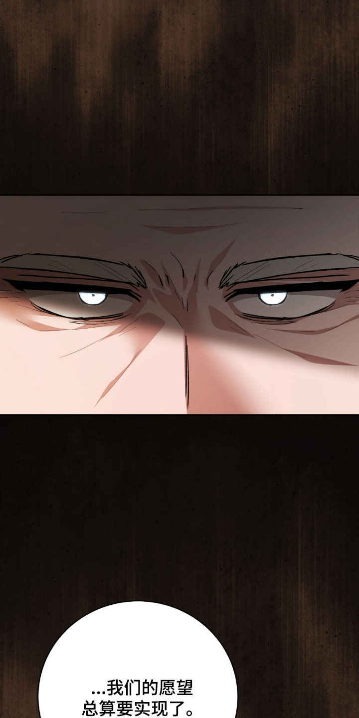 《疯批大公的玩偶》的作者是谁漫画,第73章：最后一次仰望5图