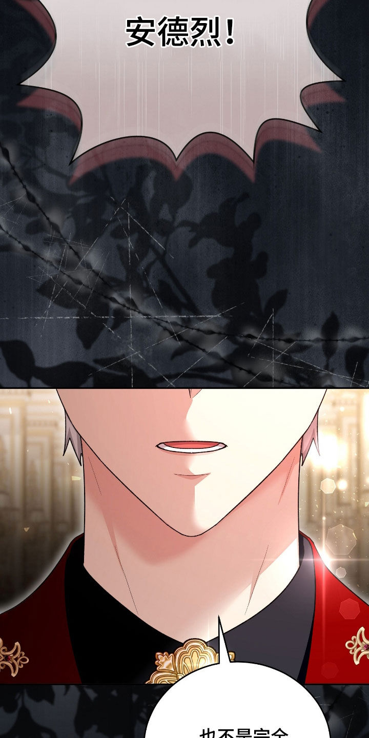 疯批大公的玩偶小说阅读漫画,第84章：放弃一切4图