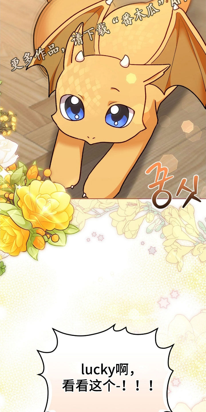 疯批大公的玩偶漫画,第69章：传言2图