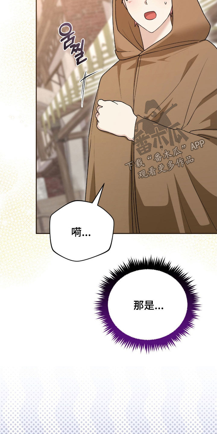 疯批大公的玩偶漫画,第70章：外出5图