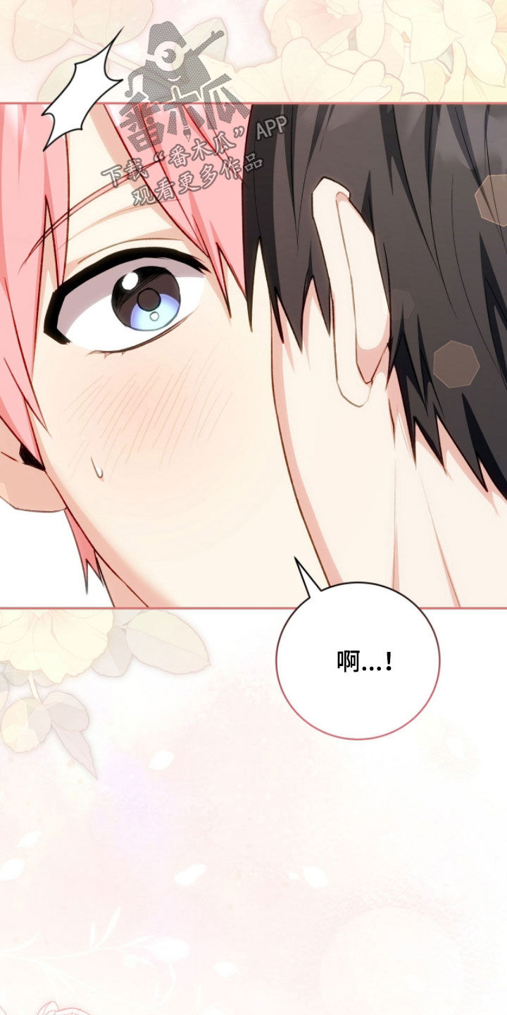 疯批大公的玩偶漫画,第81章：我喜欢你5图