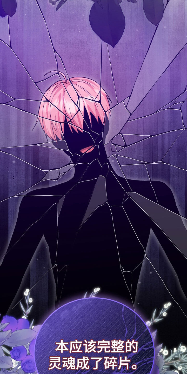 疯批大公的玩偶结局解析漫画,第83章：灵魂分裂4图