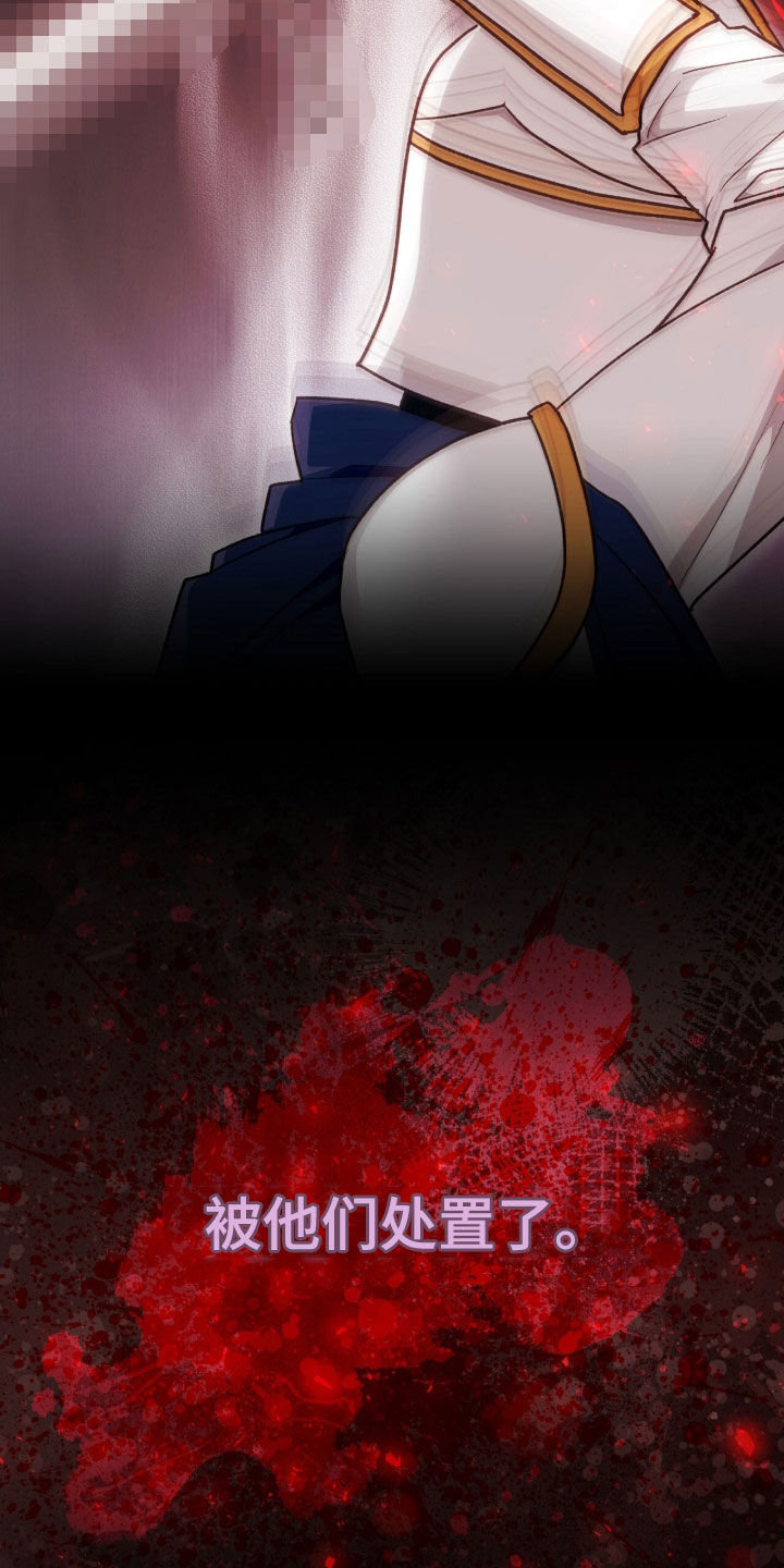 疯批大公的玩偶漫画,第73章：最后一次仰望5图