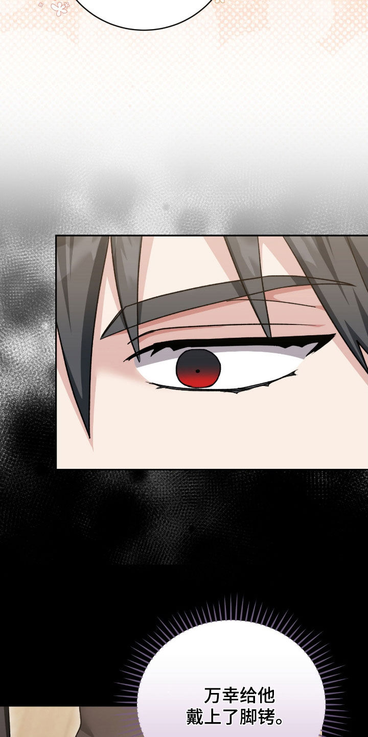 疯批大公的玩偶漫画,第69章：传言5图