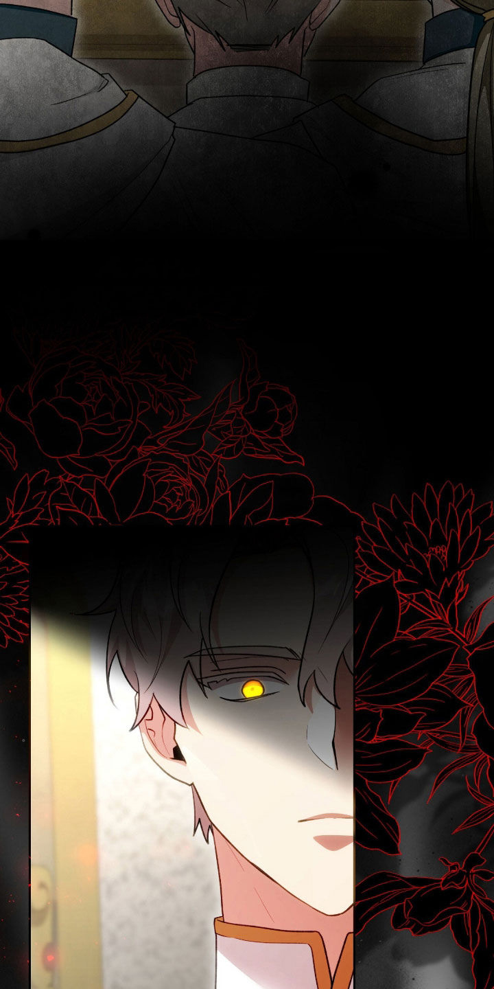 《疯批大公的玩偶》的作者是谁漫画,第73章：最后一次仰望4图