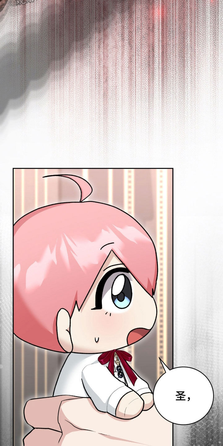 疯批大公的玩偶漫画,第73章：最后一次仰望5图