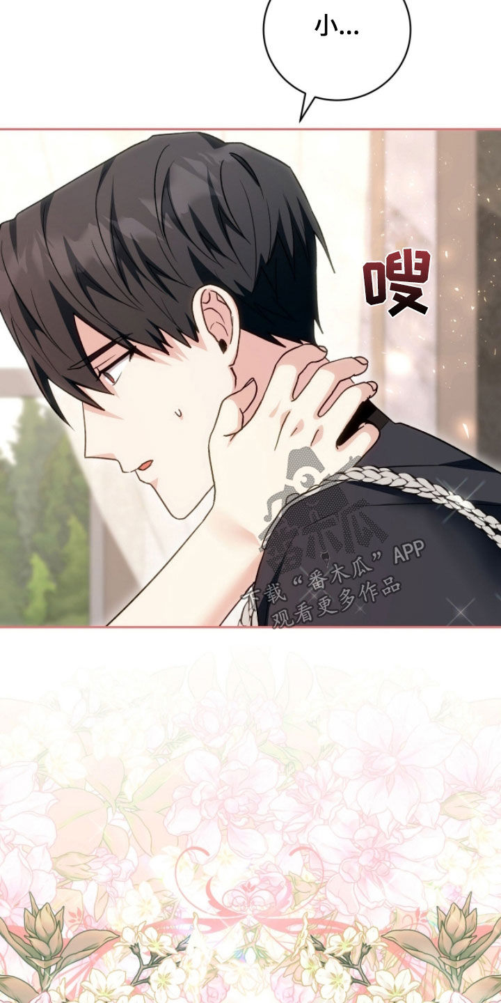 疯批大公的玩偶漫画,第81章：我喜欢你3图