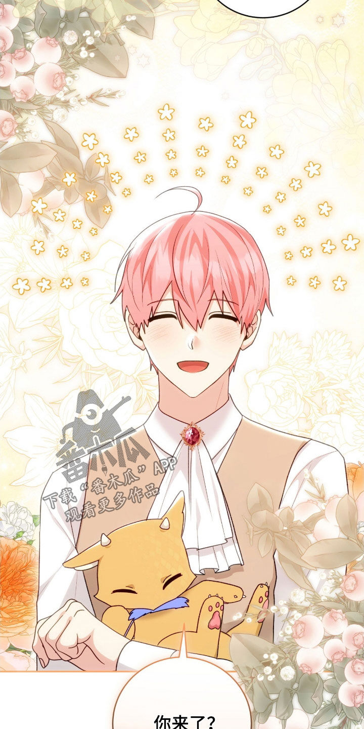 疯批大公的玩偶漫画,第69章：传言3图