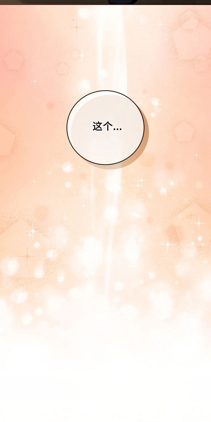 《疯批大公的玩偶》的作者是谁漫画,第73章：最后一次仰望1图