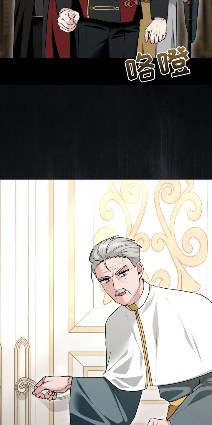 《疯批大公的玩偶》的作者是谁漫画,第74章：搜查3图