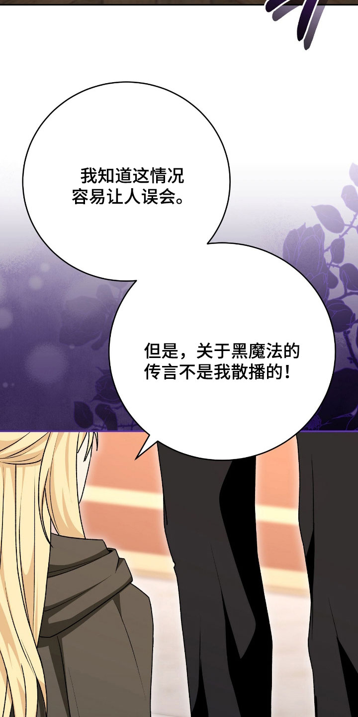 疯批大公的玩偶漫画在现看漫画,第79章：幕后黑手2图