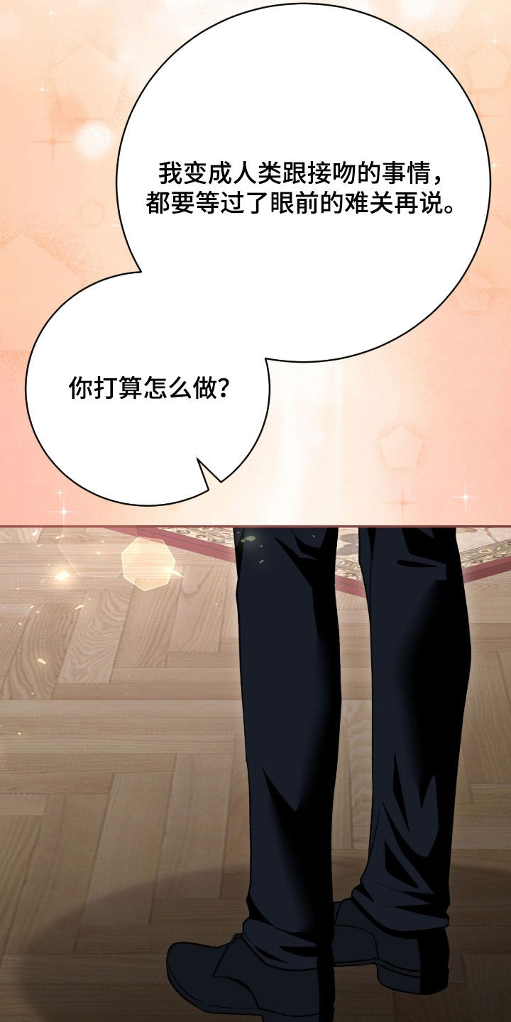 《疯批大公的玩偶》的作者是谁漫画,第73章：最后一次仰望5图