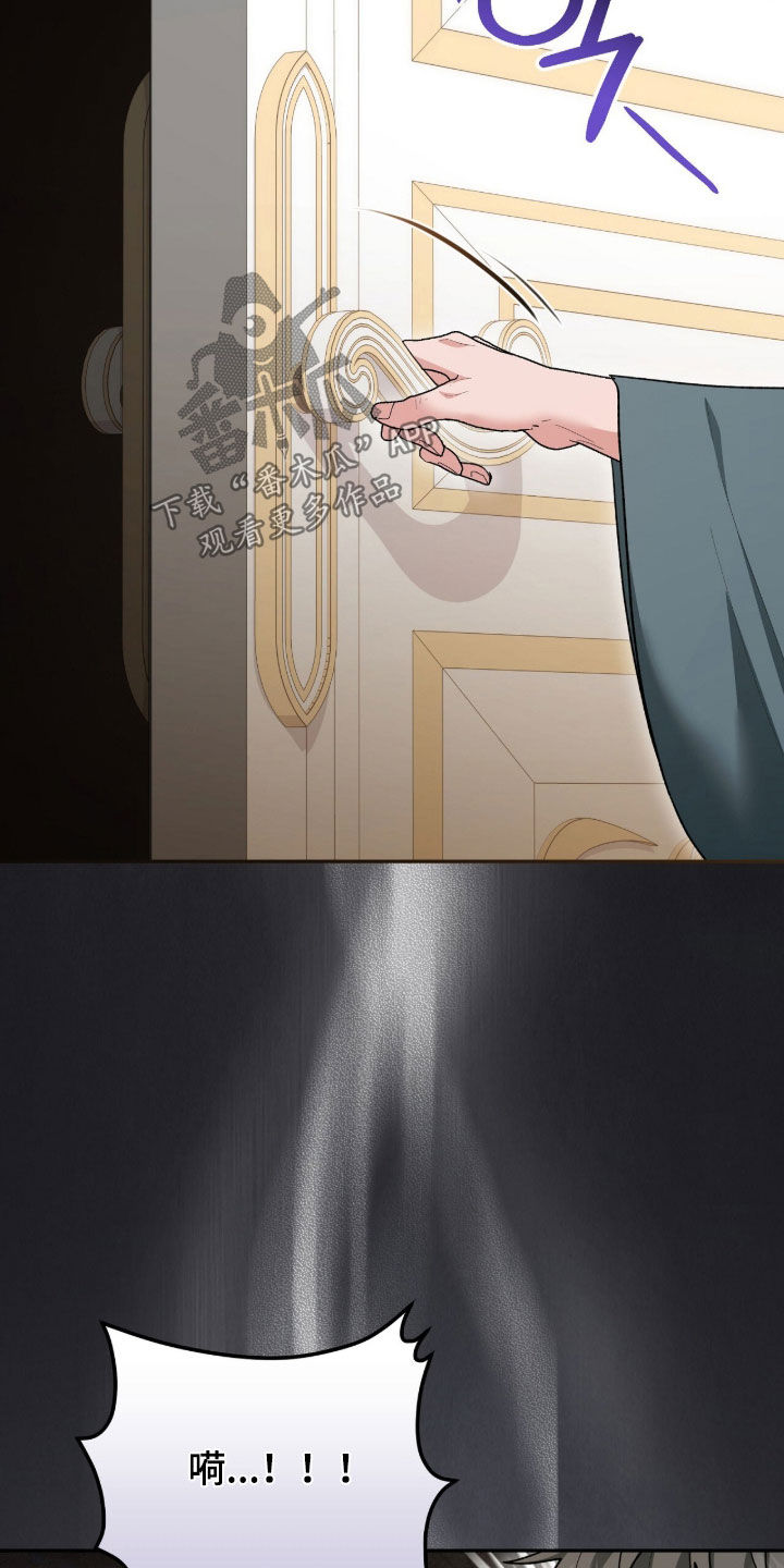 《疯批大公的玩偶》的作者是谁漫画,第74章：搜查1图