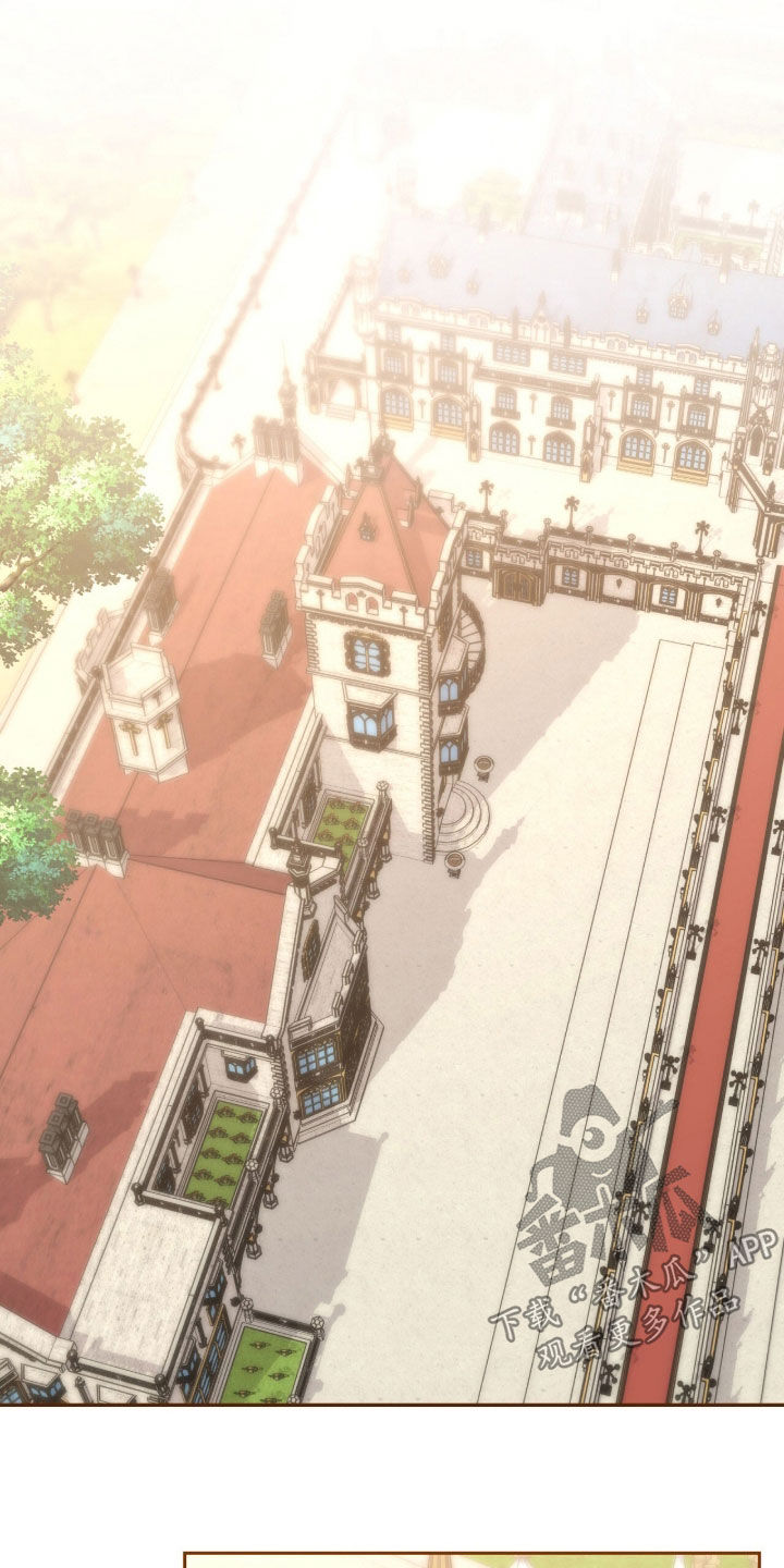 《疯批大公的玩偶》的作者是谁漫画,第73章：最后一次仰望2图