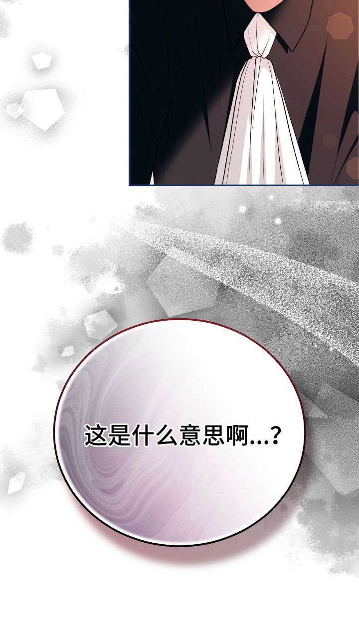 疯批大公的玩偶小说阅读漫画,第84章：放弃一切3图