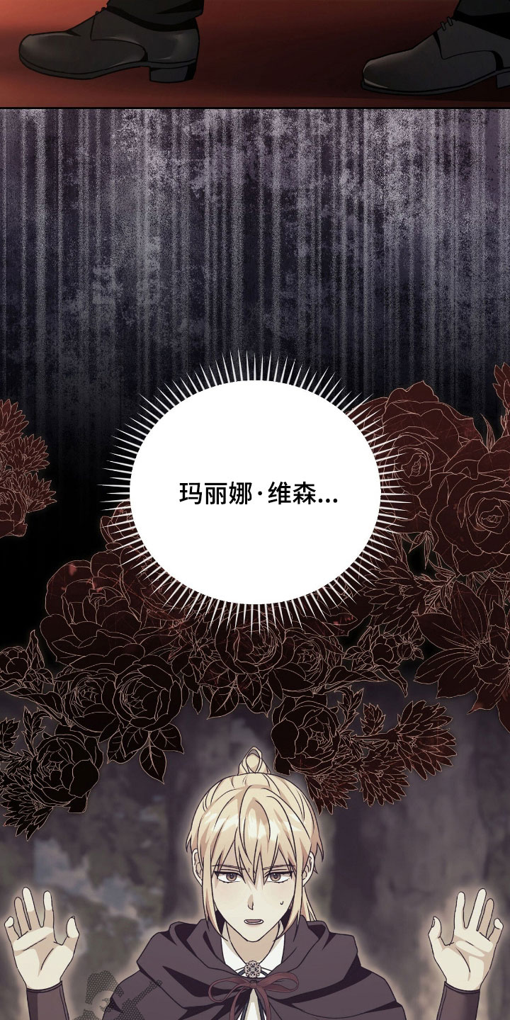 疯批大公的玩偶漫画,第79章：幕后黑手4图