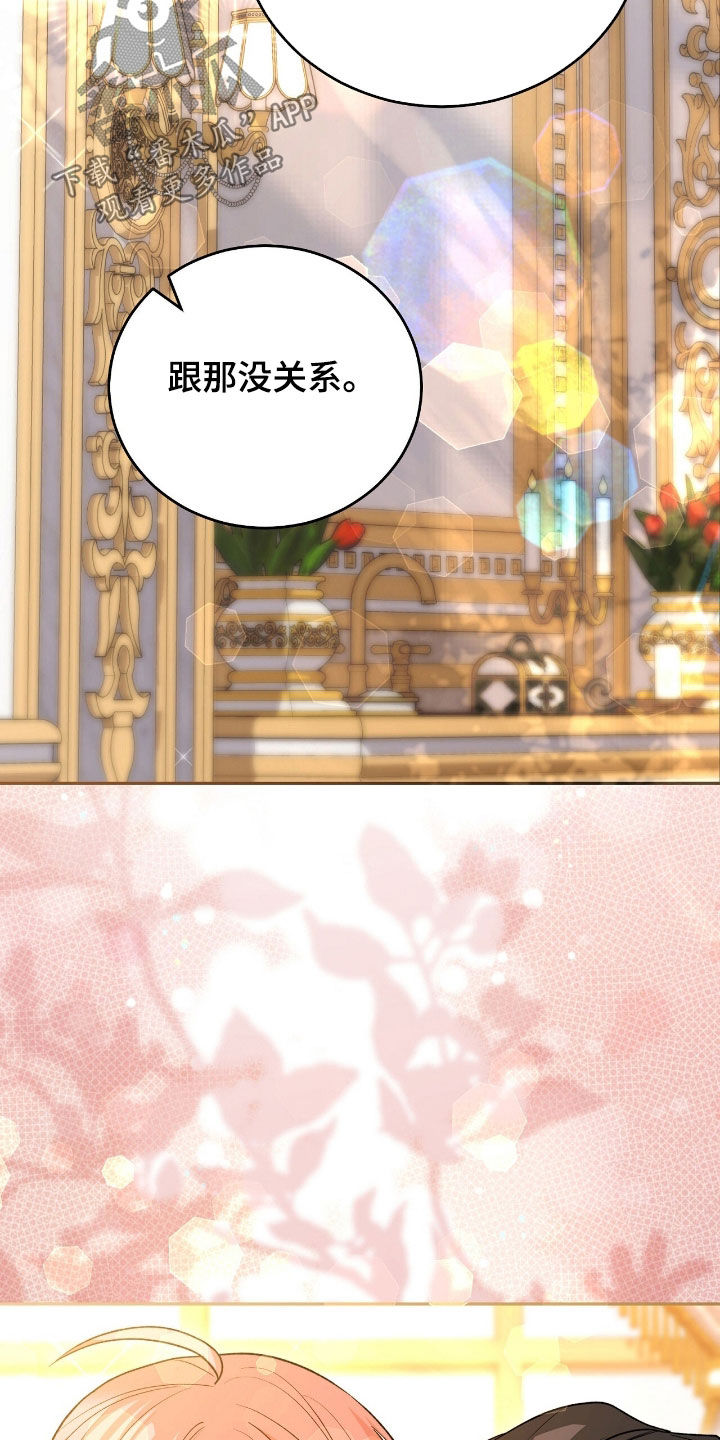 疯批大公的玩偶小说阅读漫画,第84章：放弃一切4图