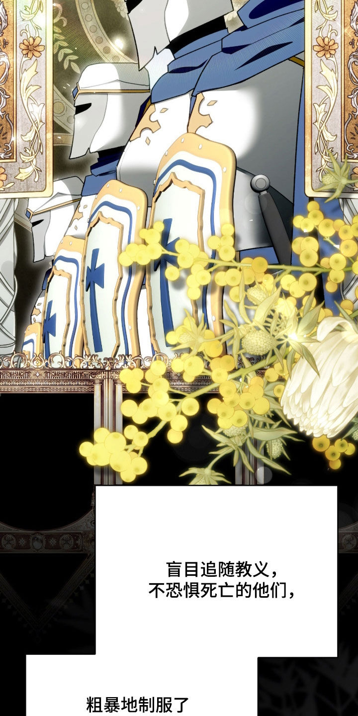 疯批大公的玩偶漫画,第73章：最后一次仰望2图