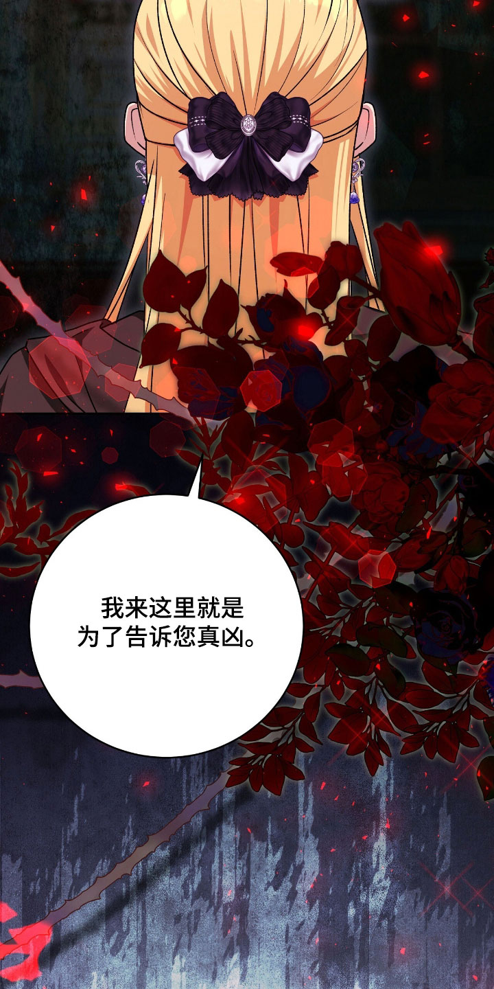 疯批大公的玩偶漫画在现看漫画,第79章：幕后黑手2图