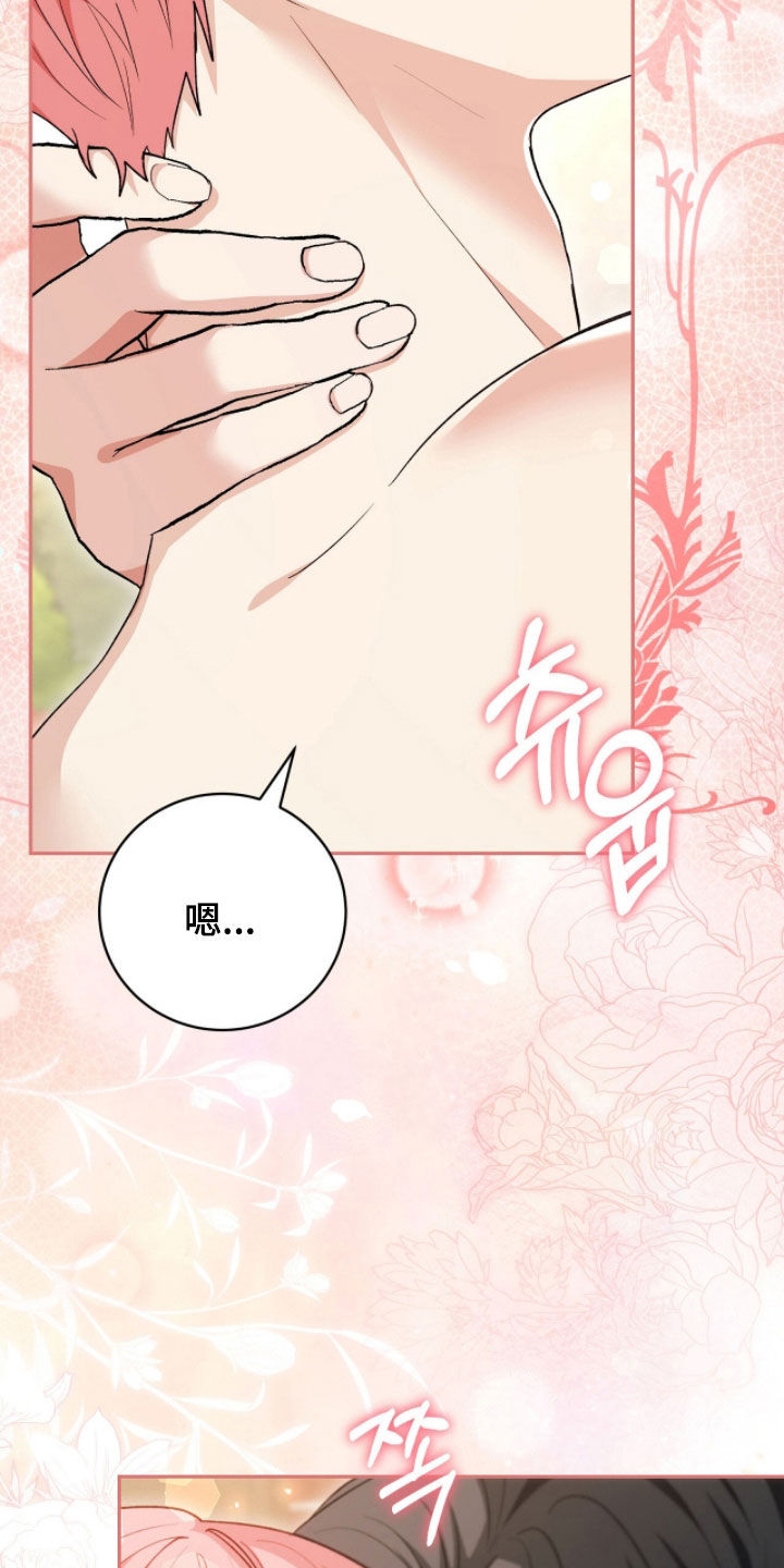 疯批大公的玩偶漫画,第81章：我喜欢你3图