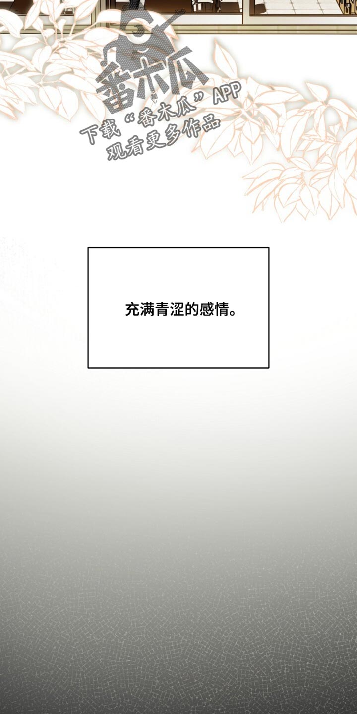 心跳共鸣漫画,第37章：充满青涩的感情3图