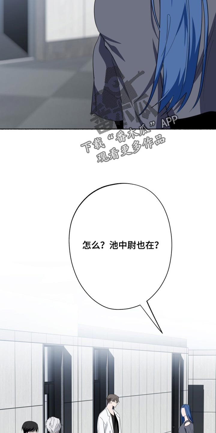 心脏不好早期10个征兆漫画,第36章：只是做个测试4图