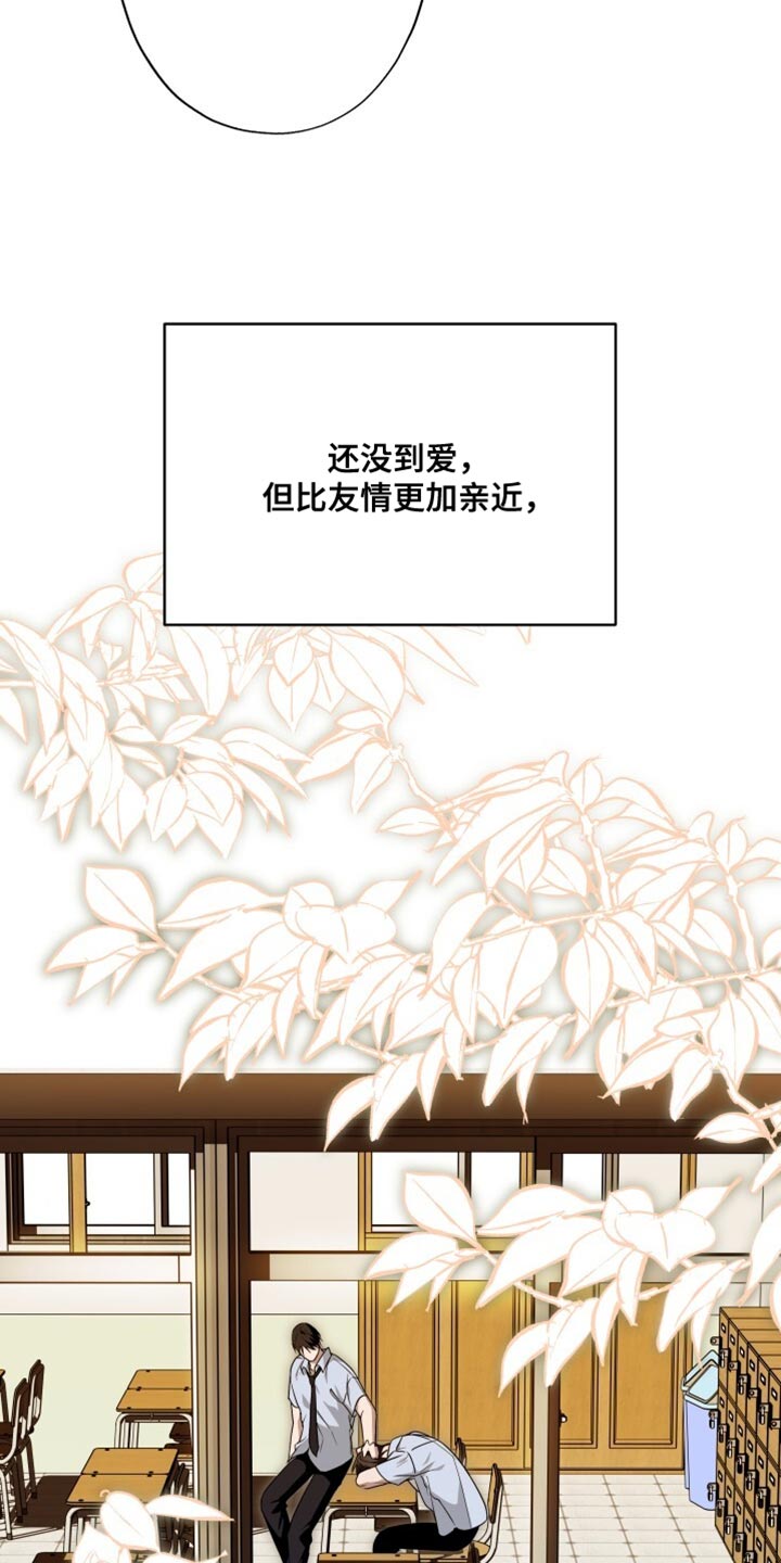 心跳共鸣漫画,第37章：充满青涩的感情2图