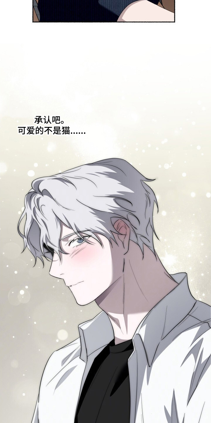 心跳共鸣漫画,第24章：像你一样可爱3图