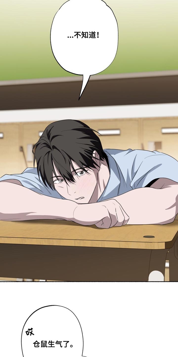 心跳共鸣漫画,第37章：充满青涩的感情1图