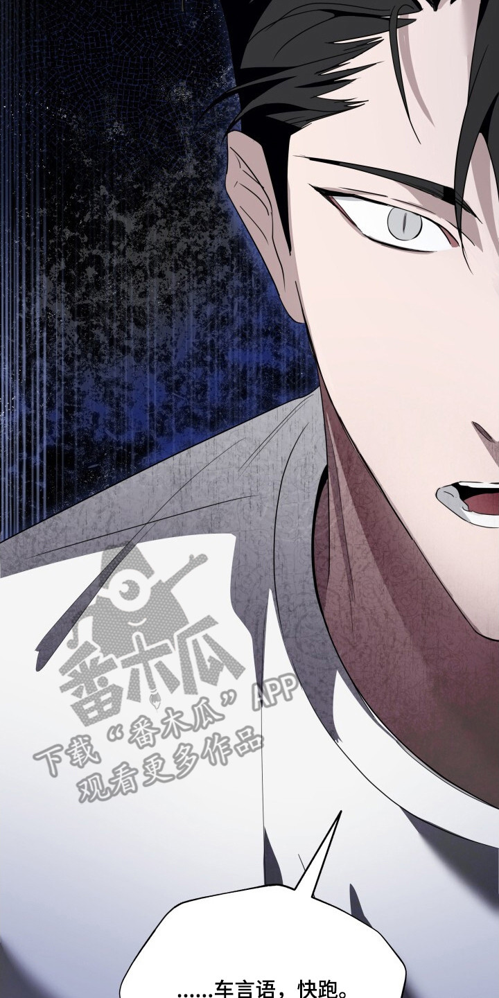 心跳共鸣漫画,第26章：快跑3图