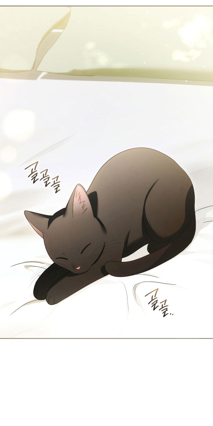 公爵和伯爵的区别漫画,第20章：决定辞职4图