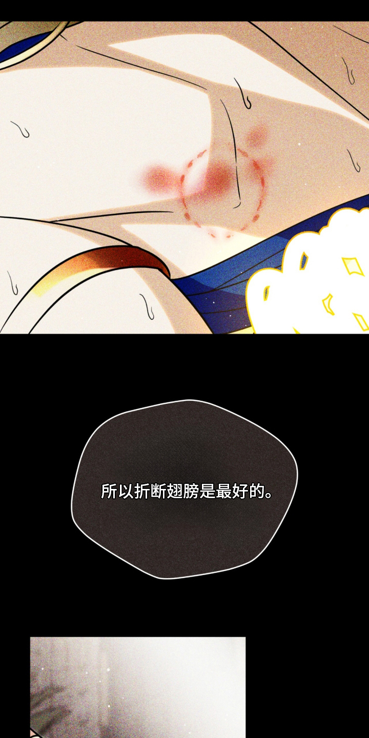 囚犯电影美国漫画,第11章：折断翅膀4图