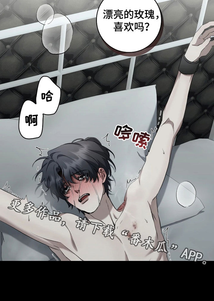 地狱中的爱漫画,第20章：不听话4图