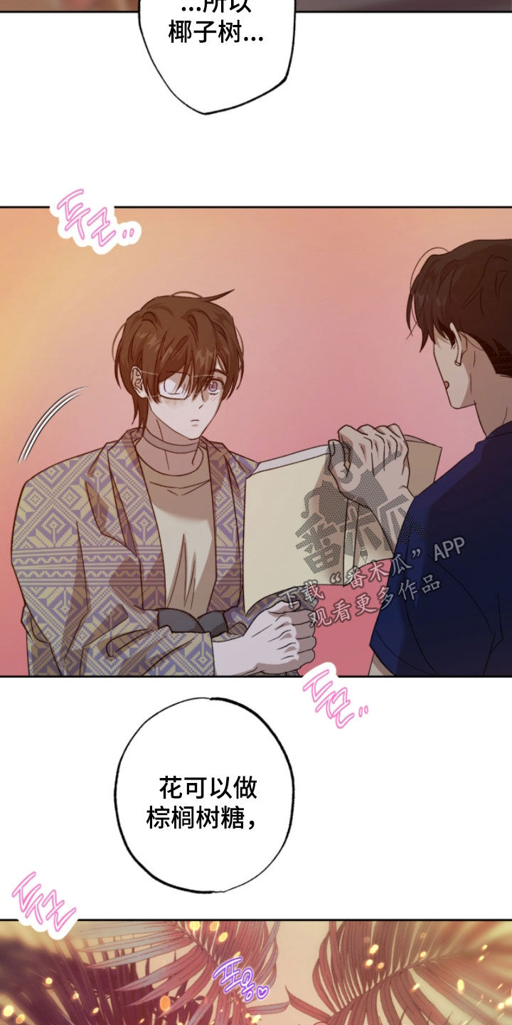 第25章：现在不能问0