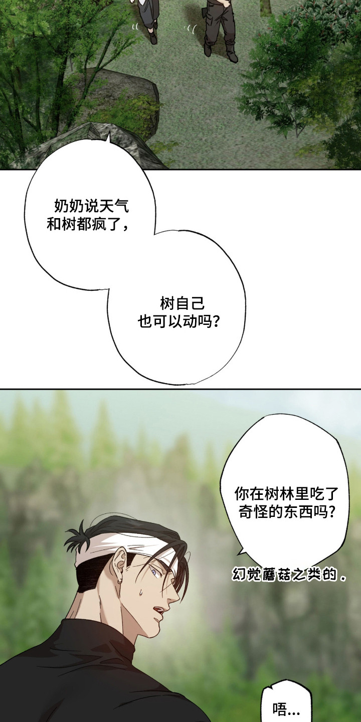 双生悲愿漫画书现货漫画,第12章：好奇1图