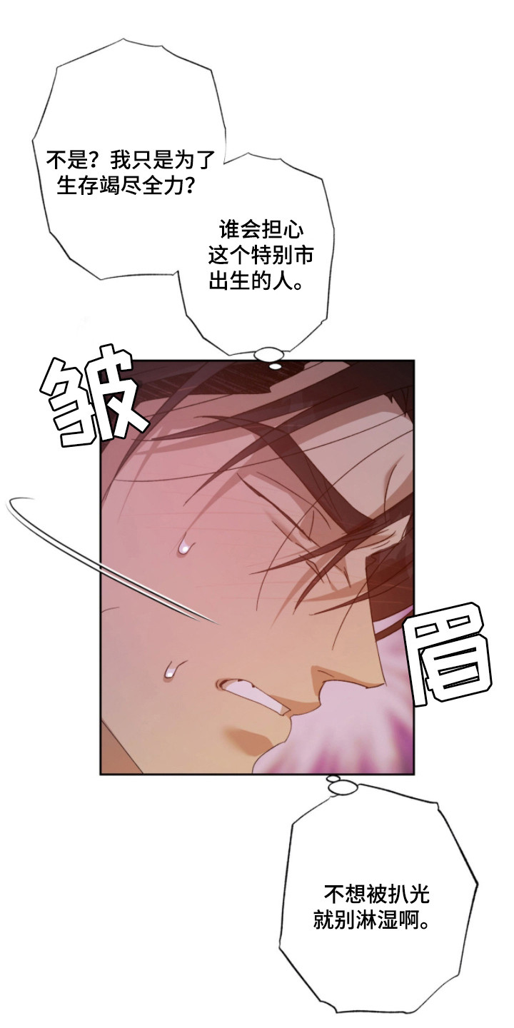 双生悲愿漫画,第10章：安抚1图