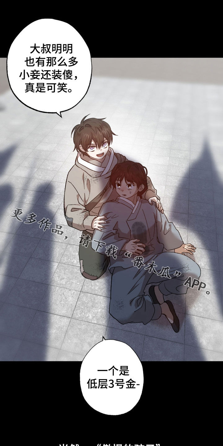 双生迷雾全集免费完整版漫画,第26章：私生子1图