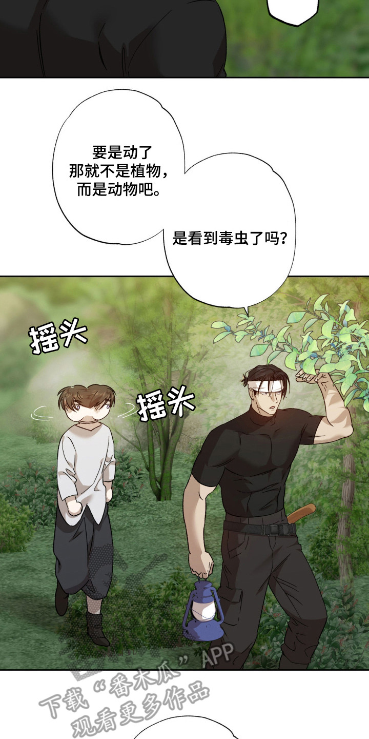双生悲愿漫画书现货漫画,第12章：好奇2图