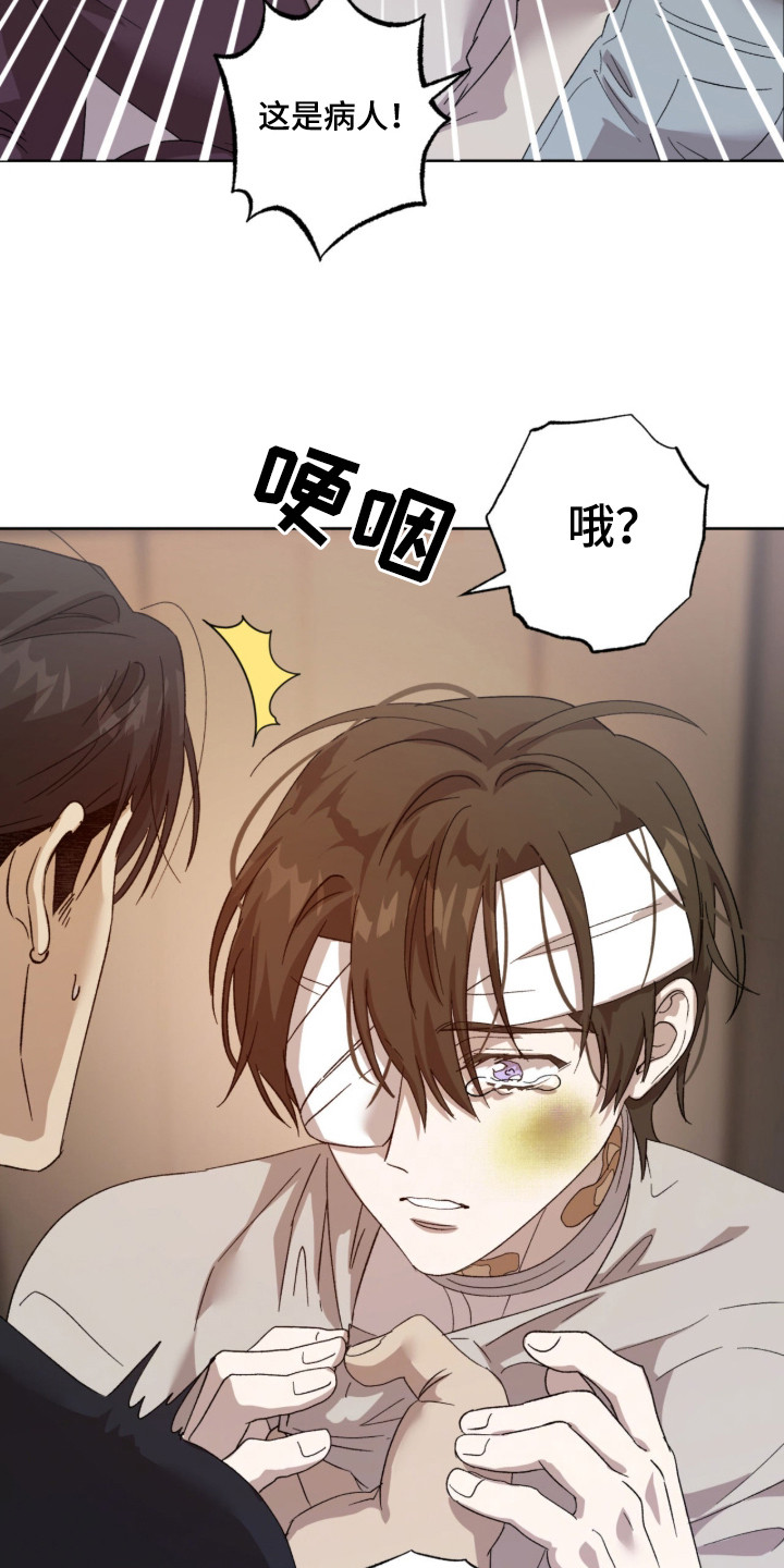 双生悲愿漫画书周边漫画,第2章：坠落1图