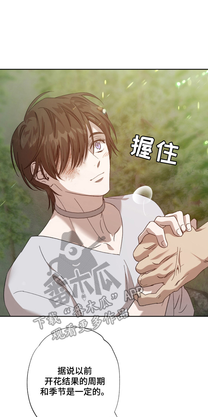 双生悲愿漫画书现货漫画,第12章：好奇5图