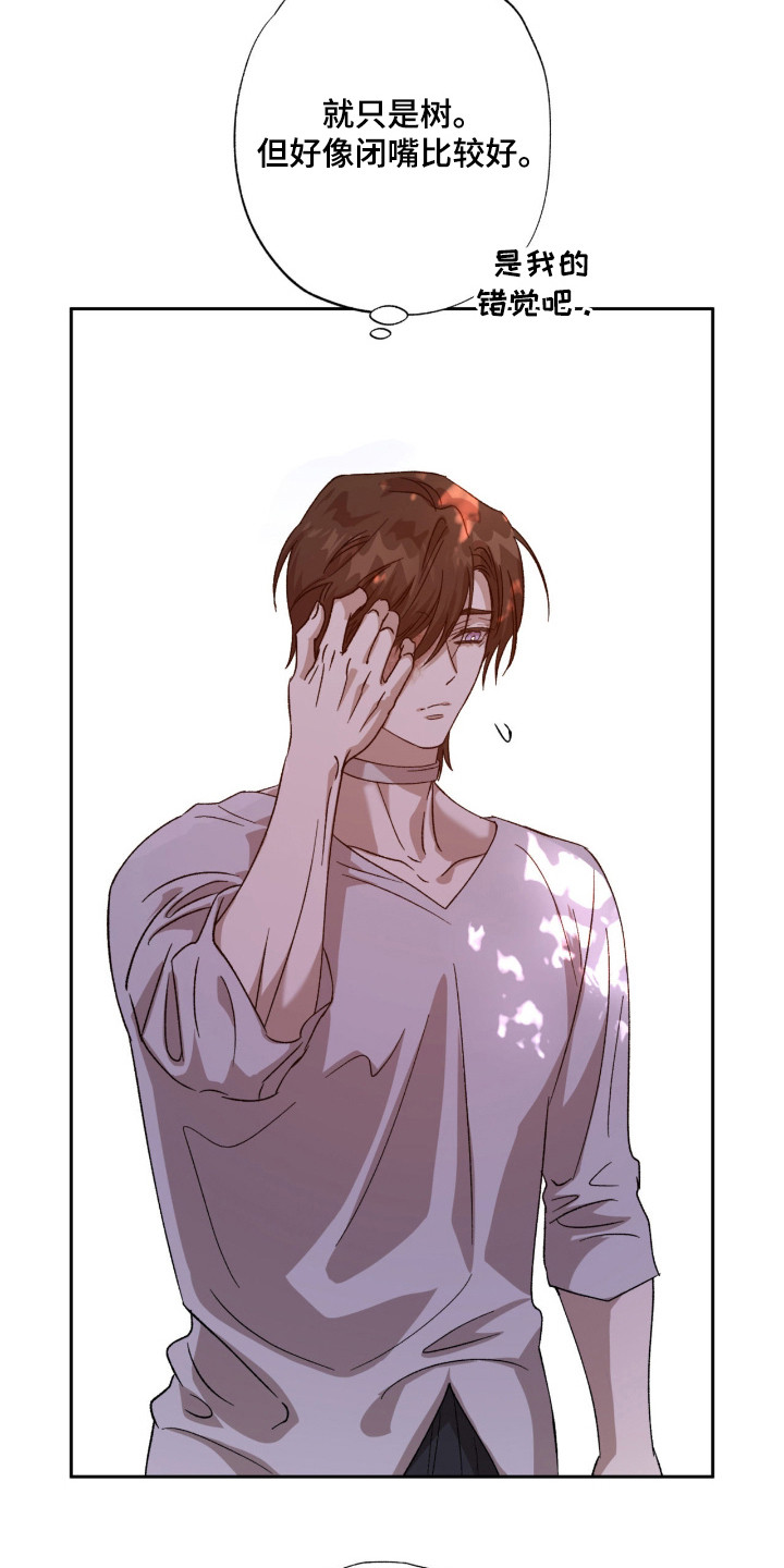 双生悲愿漫画书现货漫画,第12章：好奇3图