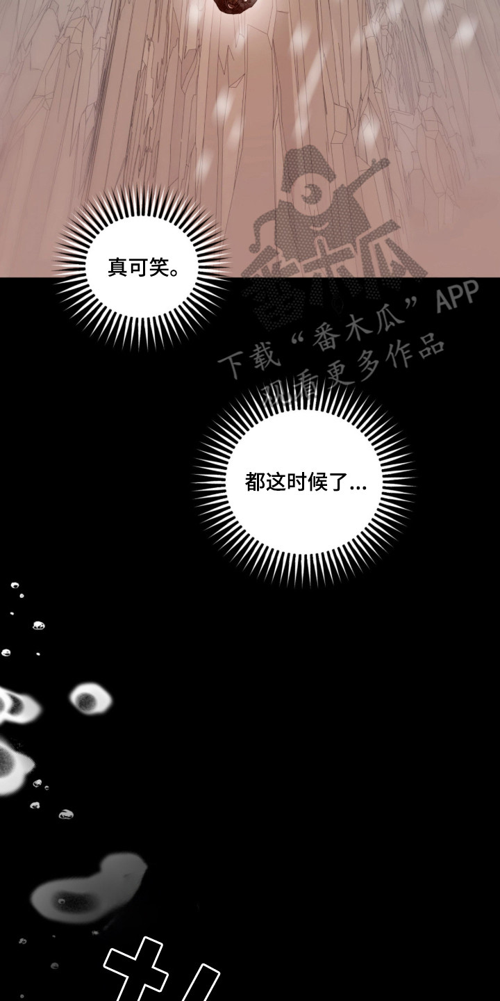 双生悲愿漫画书周边漫画,第2章：坠落5图