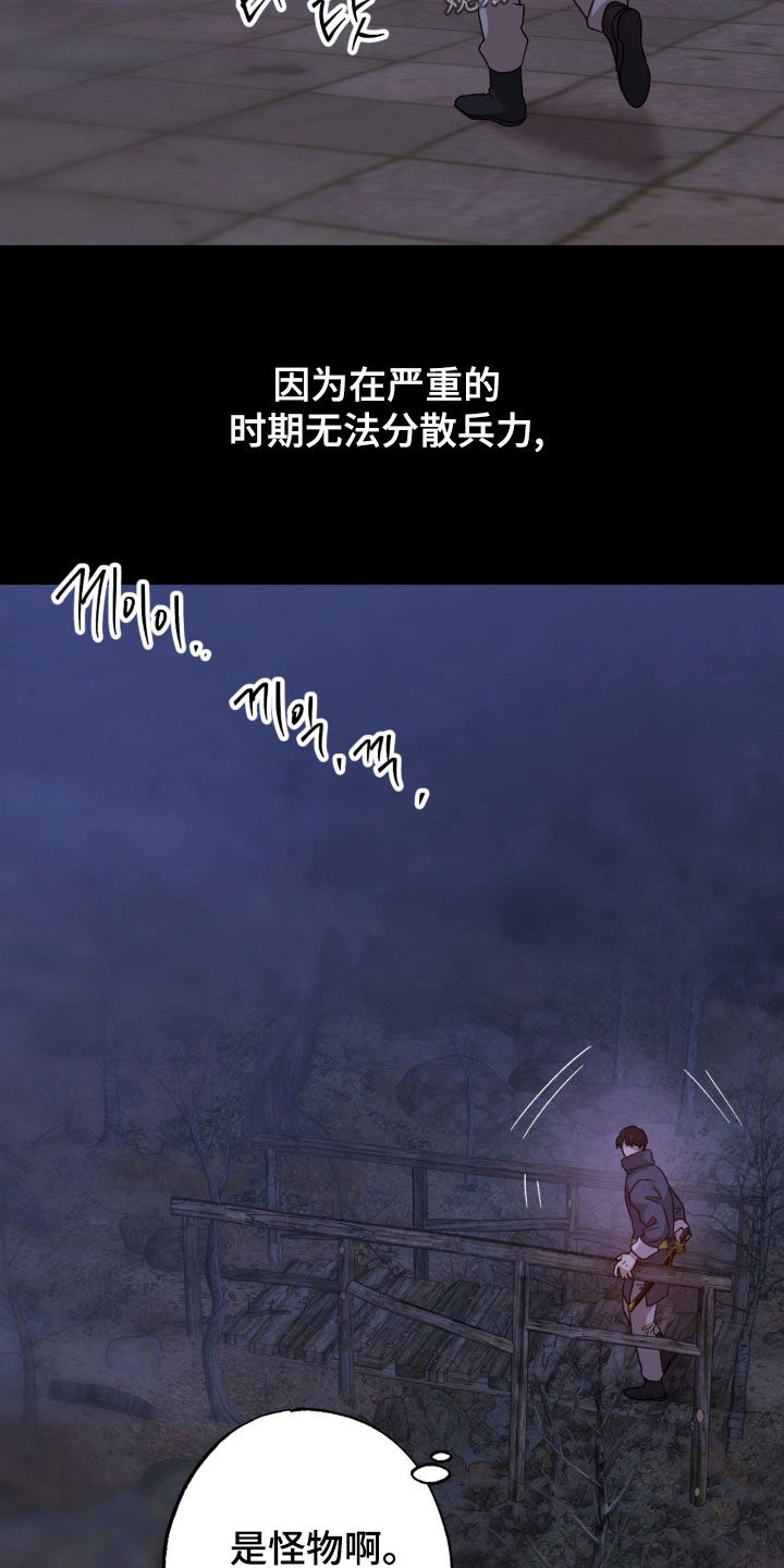 双生悲愿漫画,第26章：私生子2图