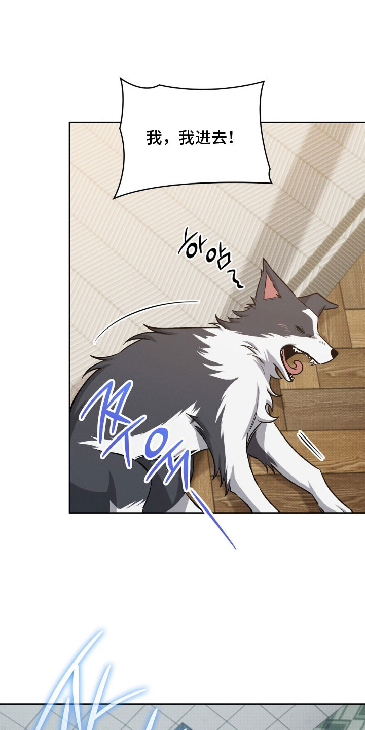 无名救赎漫画,第73章：养只狗狗5图