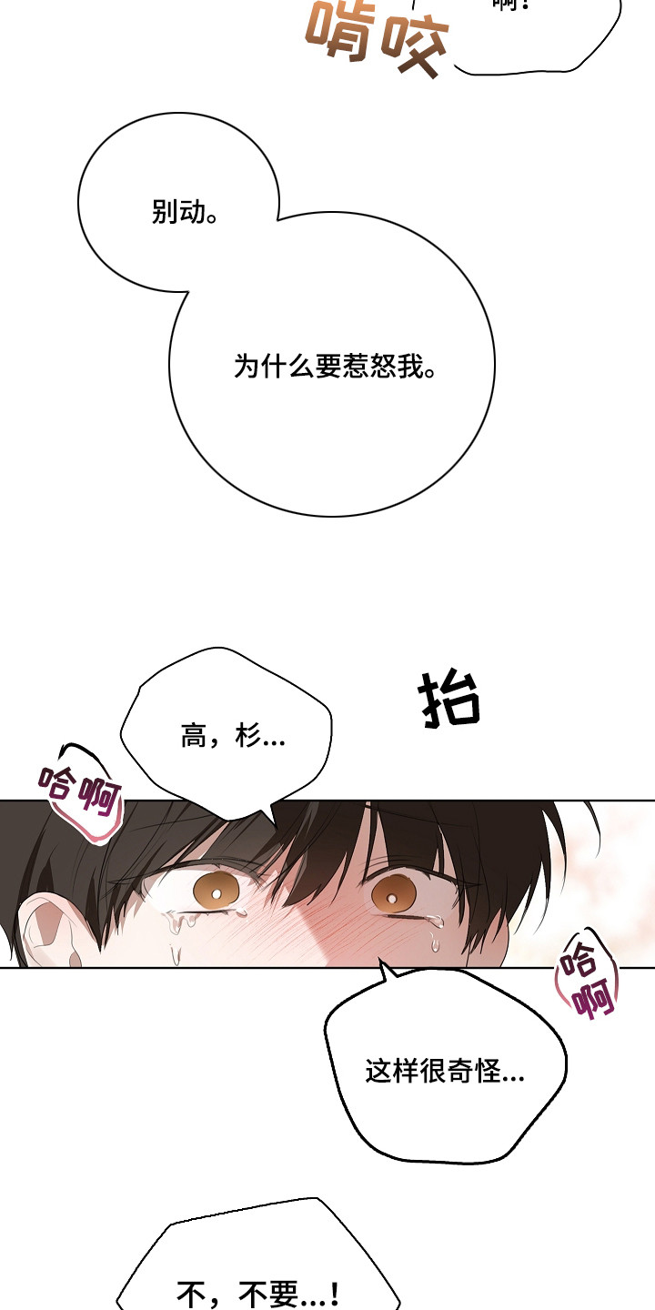 误吻危险弟弟漫画,第17章：惹怒1图