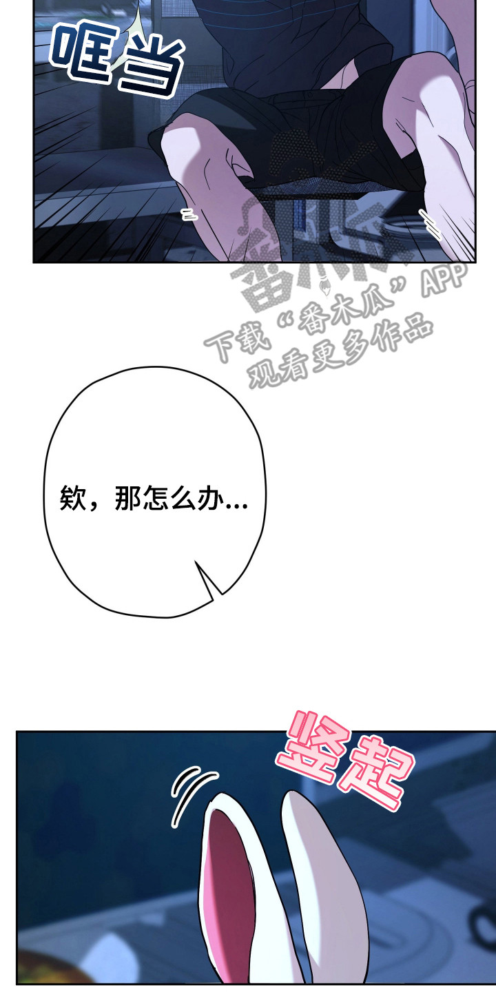 无间搭档漫画免费下拉式漫画星球漫画,第17章：情报5图