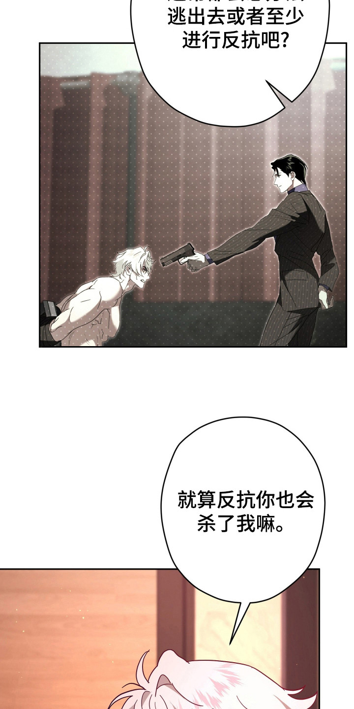 无间搭档1-40集免费看电视剧漫画,第15章：真心话5图